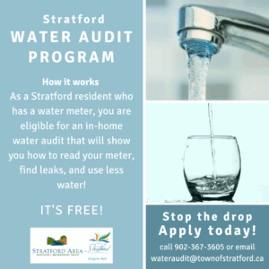 Water Audit Program