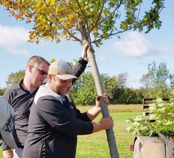 Two people raising a young tree